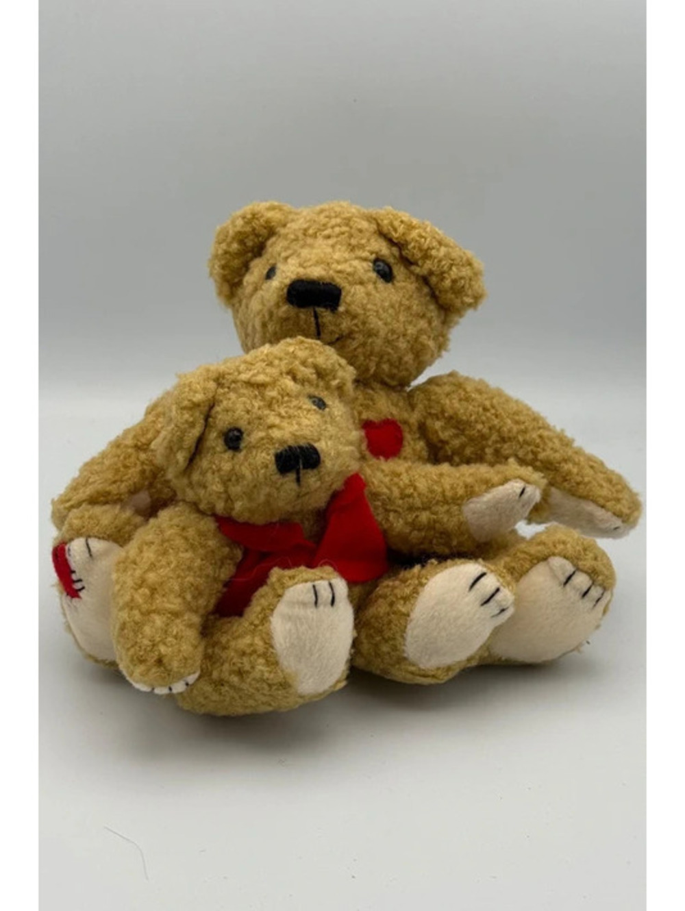 Dad and Son Bear